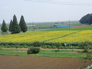 20120728_夏休み親子自然観察会