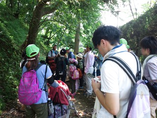 20120728_夏休み親子自然観察会のサムネール画像