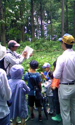 2011_7_31 夏休み親子自然観察会2.jpg